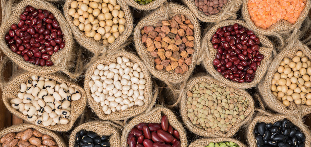 The Global Prebiotic Association Welcomes Founding, Board and Associate Members