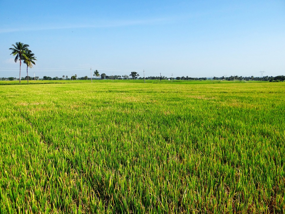 Inocucor Acquires Leading Crop Nutrition Company, Plans New Class of High-Performance Crop Inputs