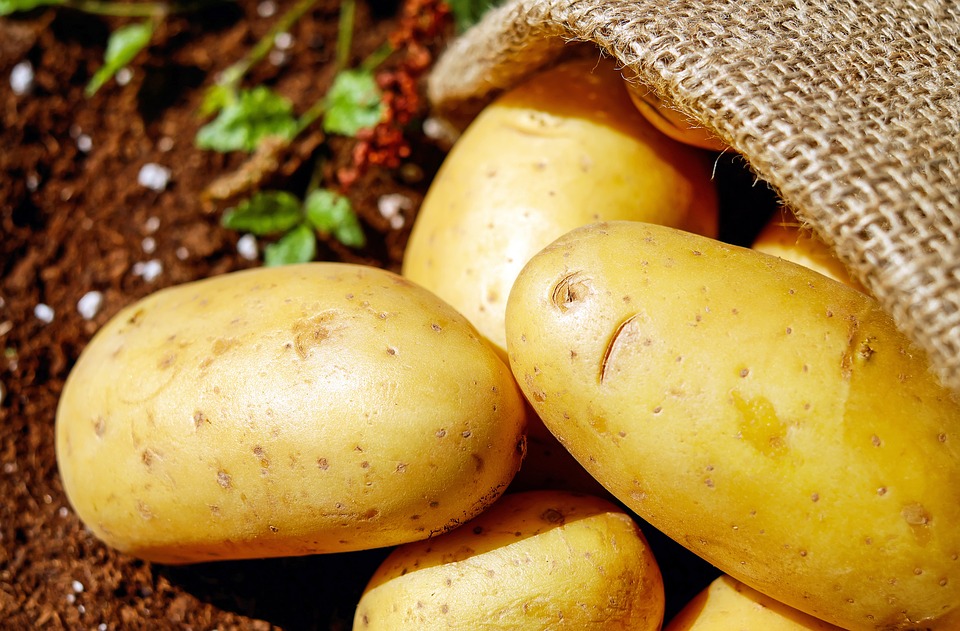 Prebiotic innovation made from prairie-grown potatoes earns FODMAP Friendly Certification as more clinical findings confirm that MSPrebiotic® helps promote a healthier gut