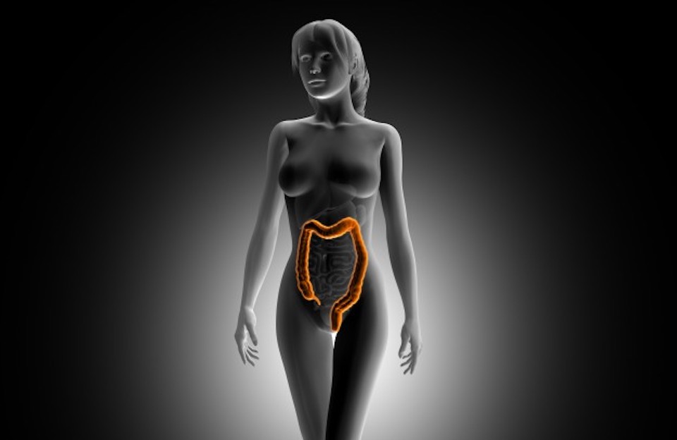 Synthetic Biologics Provides Update on Development of SYN-004 (ribaxamase), for the Prevention of C. difficile Infection