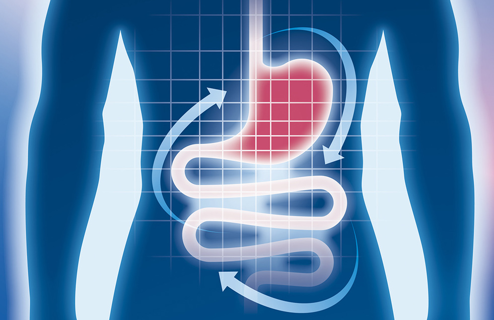 Brazilian Health Authorities Recognize Bifidobacterium Lactis HN019™ as Beneficial to Gastrointestinal Health