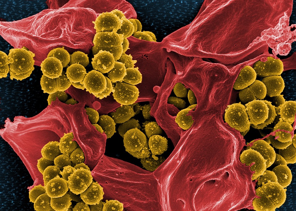 Oragenics, Inc. and Texas A&M University System Granted U.S. Patent for Lantibiotic MU1140