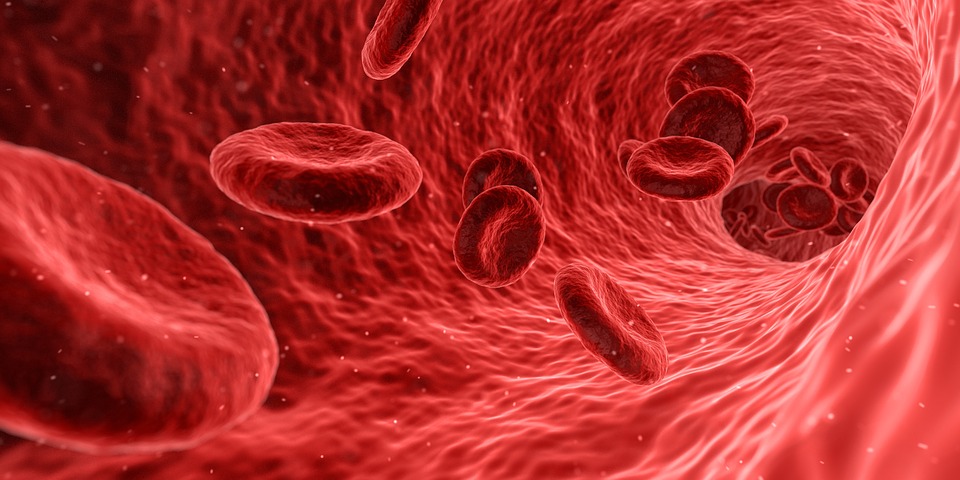 DuPont Files Patent For the Use of Bacteria, Metabolites and Compositions for Blood Type Specific Probiotics