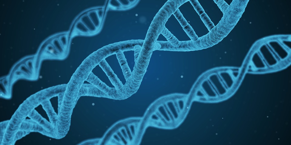 Zymo Research and CosmosID to Deliver Integrated Solution for Accurate Microbiome Analysis