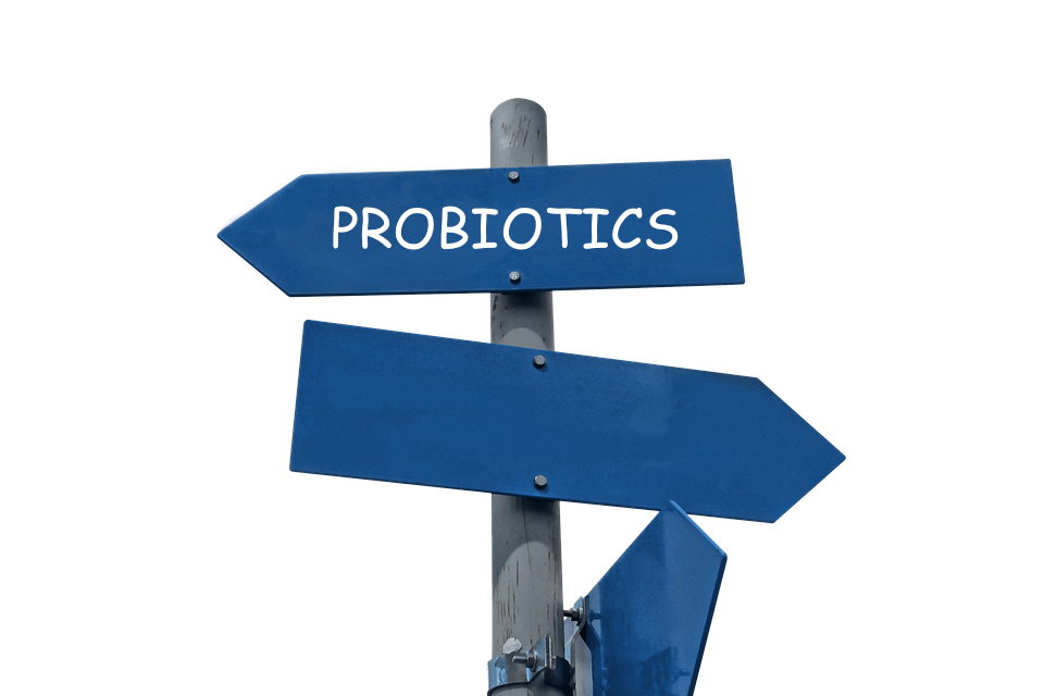 New Guide From American Gastroenterological Association for Probiotics Consumers