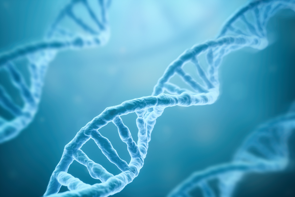 DuPont Nutrition & Health and Eurofins Bring Higher Level of Transparency to Probiotic Industry Through Genetic Identification