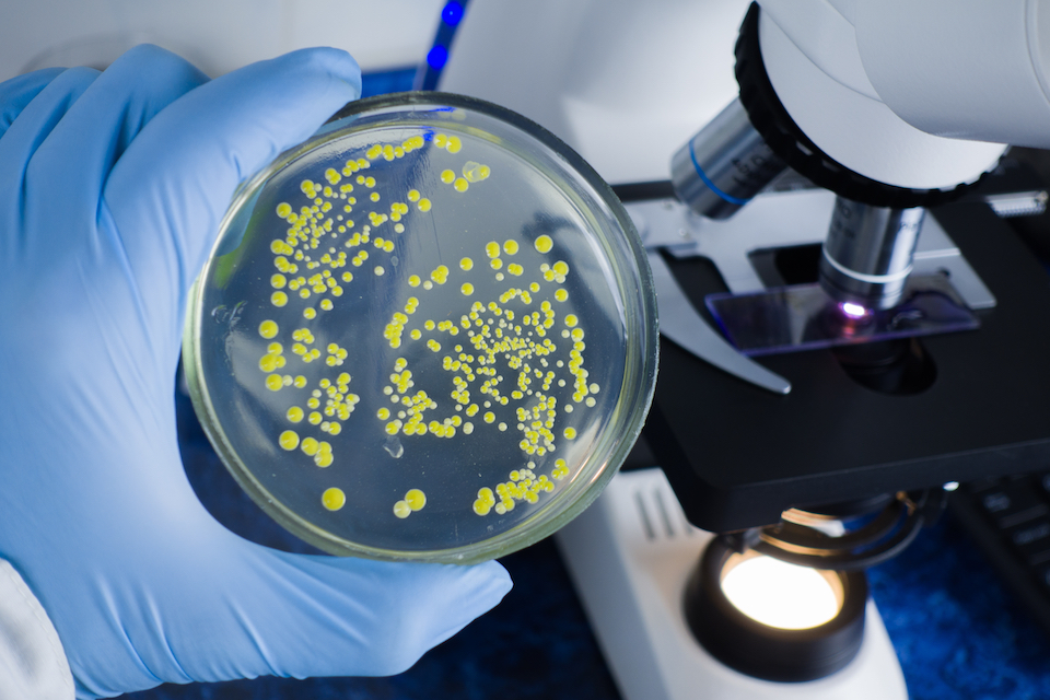 Diversigen and Norgen Biotek Partner to Offer End-to-end Solutions for Microbiome Sample and Analysis Research