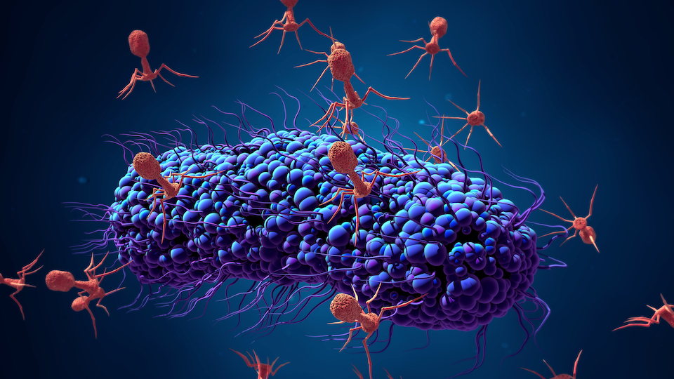 Locus Biosciences acquires EpiBiome’s high-throughput discovery platform to enhance its global leadership in CRISPR-engineered phage therapeutics