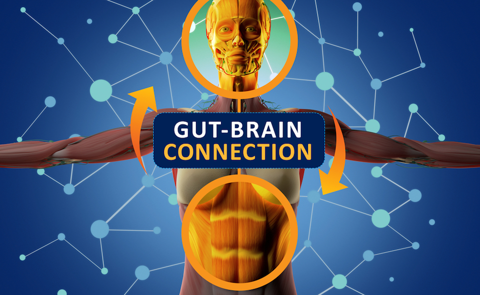 Advances Along The Gut-Liver-Brain Axis In Alzheimer’s Disease: Why Diet May Be So Impactful
