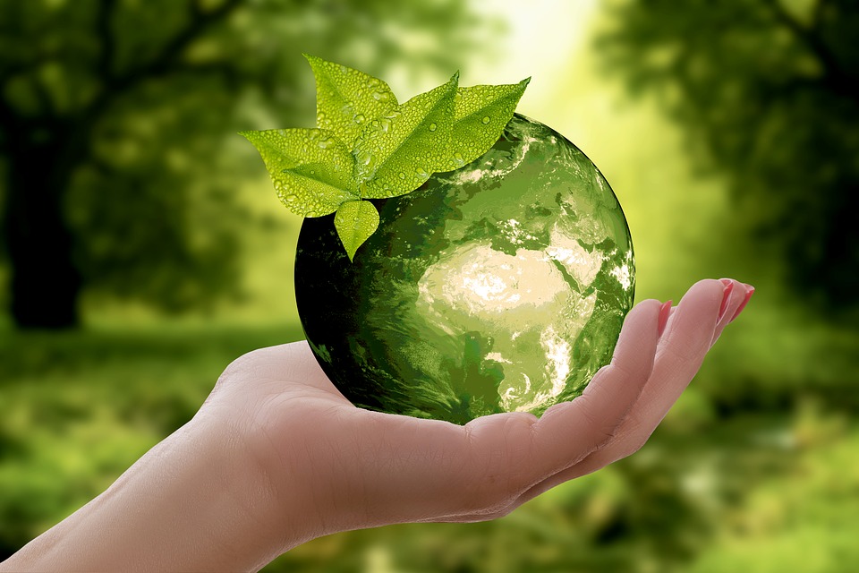 Pivot Bio Advances Toward Commercial Launch of First Sustainable Nitrogen Product