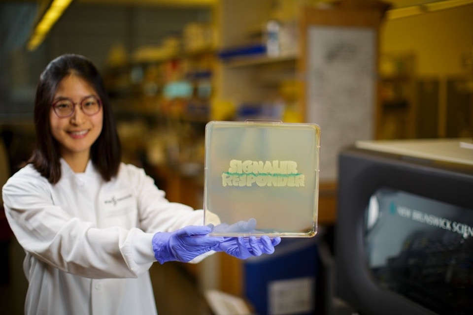 A telephone for Your Microbiome: Setting the Stage for a Synthetic Microbiome