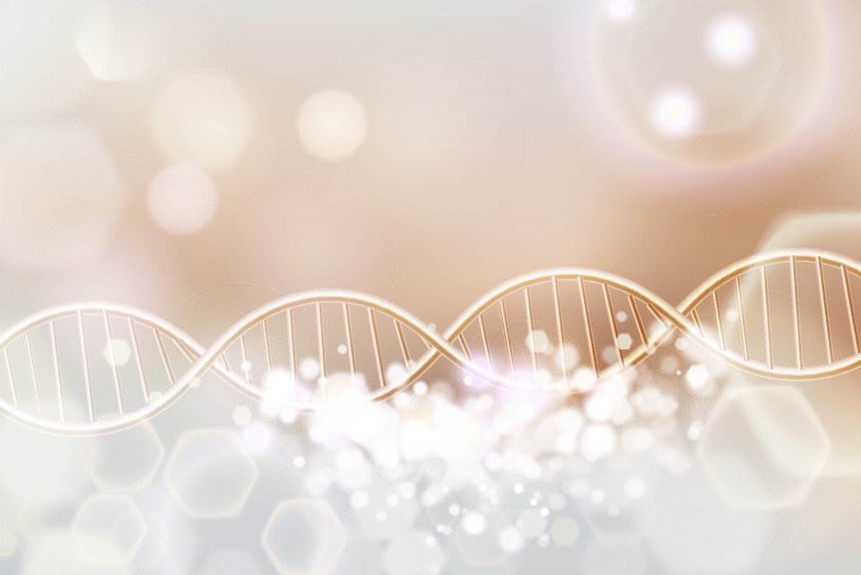 Conference Summary: Microbiome Movement Skin Health & Dermatology