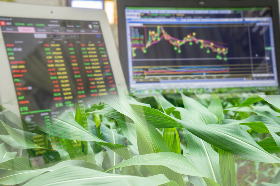 Indigo Agriculture Raises an Additional $250M and Launches Digital Grain Marketplace