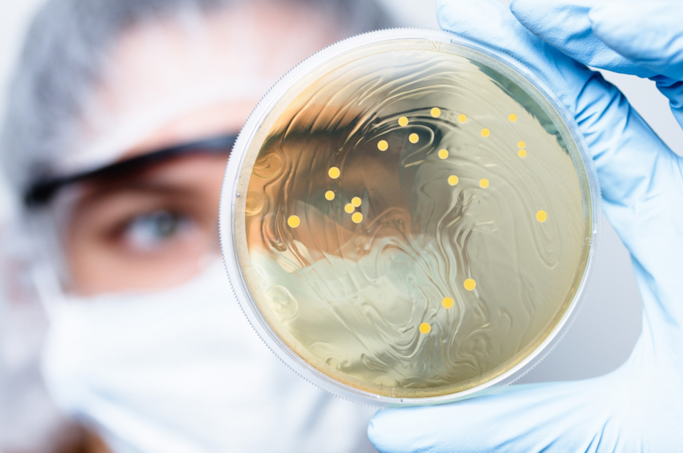 Scientific Analysis Shows Probiotic Use is Associated with Fewer Antibiotic Prescriptions