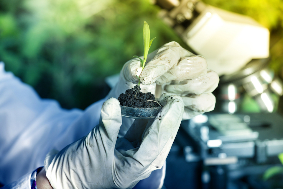 Pivot Bio Closes $70 Million Series B Financing to Deliver First and Only Clean Alternative to Synthetic Nitrogen Fertilizer