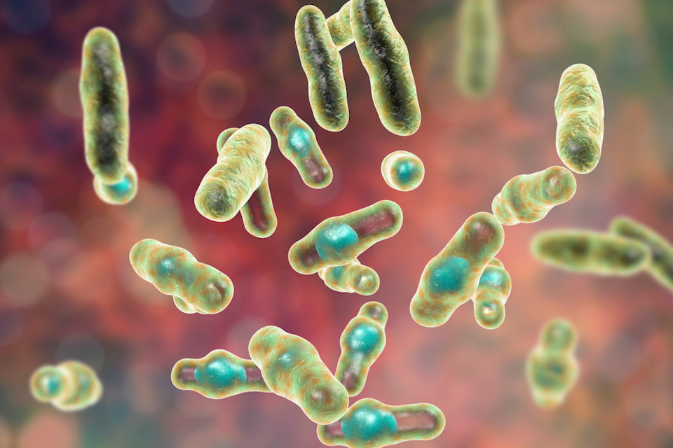 Synthetic Biologics Announces Positive Outcome of End-of-Phase 2 Meeting with FDA on SYN-004 (ribaxamase) Development