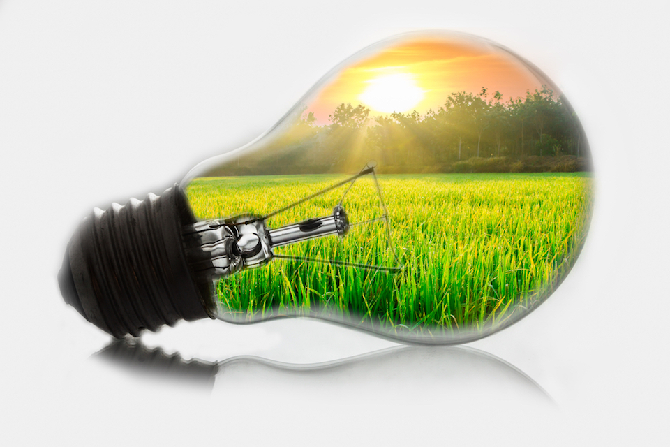 Chr. Hansen Receives Joint Innovation Fund Grant to Develop Next Generation Microbial Solutions for Agriculture