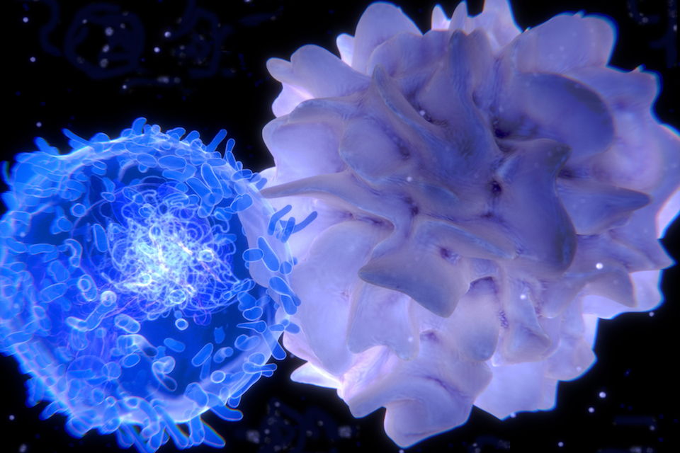 Vedanta Biosciences Announces Preclinical Data on Microbiome-Derived Immuno-Oncology Candidate