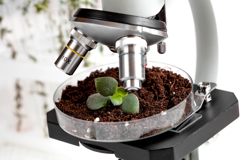 Trace Genomics Raises $13m Series A Round to Unlock the Power of the Soil for Farmers