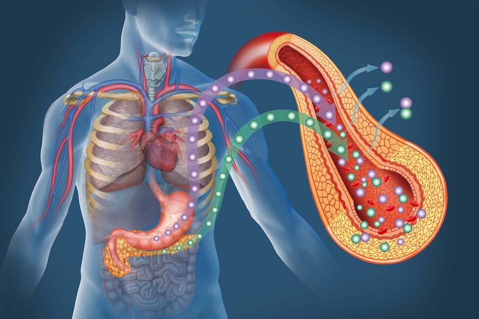 BIOASTER, Bio-Rad and Genetic Analysis Collaborate to Develop Novel Microbiome-Based Diagnostics for Metabolic Disorders