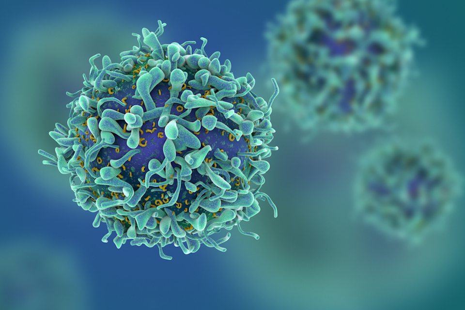BMS and Boston Medical Center Announce Research Collaboration to Investigate Markers of Immuno-Oncology Response and Resistance