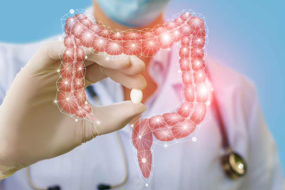 Large Meta-Analysis Backs Probiotic Benefits in Gut Health