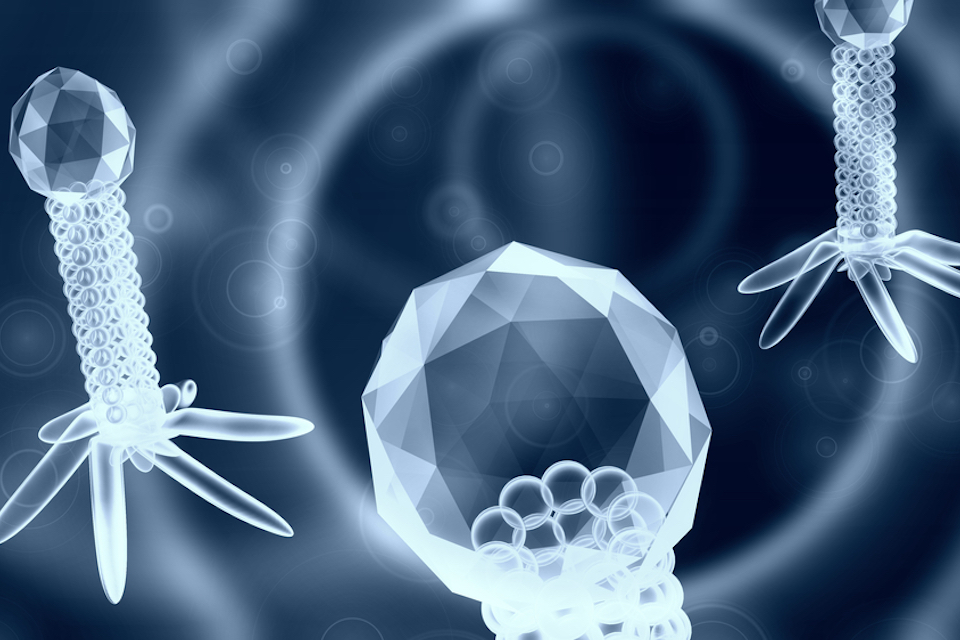 Bioharmony Therapeutics and Boehringer Ingelheim to Advance Bacteriophage Lysin Therapeutics