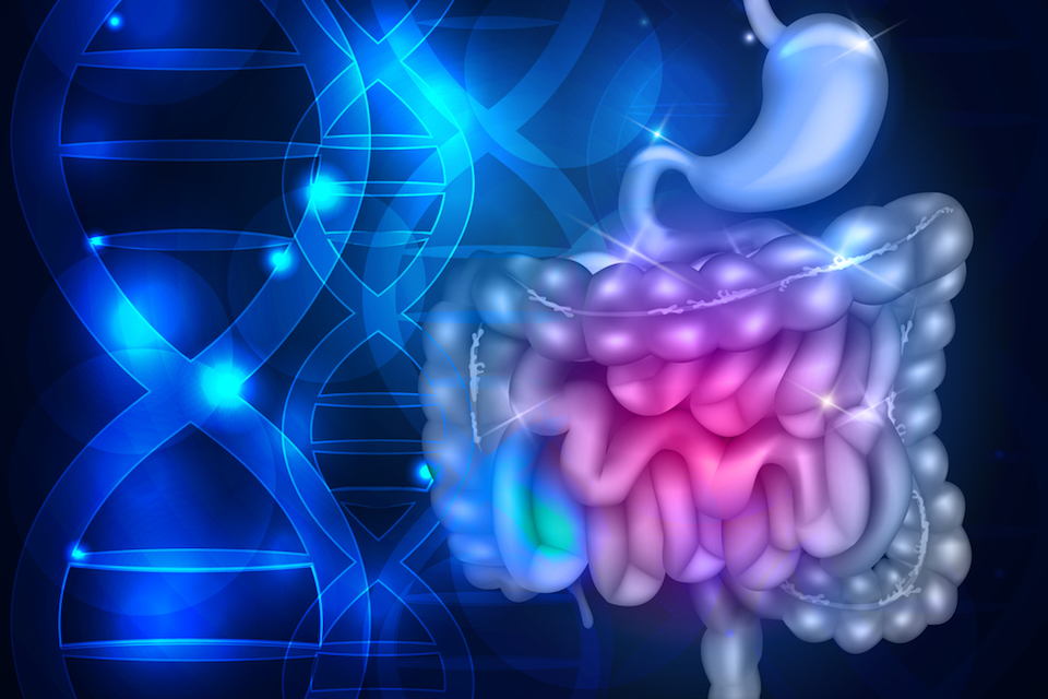 Seres Therapeutics Announces Initiation of SER-287 Phase 2B ECO-RESET Clinical Study for Ulcerative Colitis