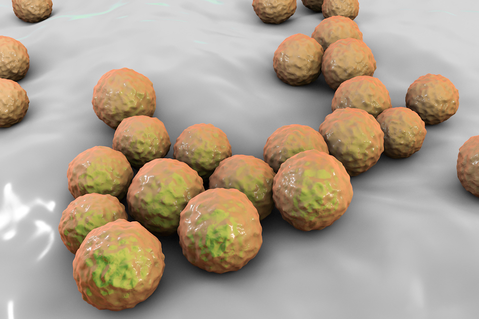 Publication of Data in Connection with 4D Pharma’s Immuno-Stimulant and Anti-Tumour Agent MRx0518