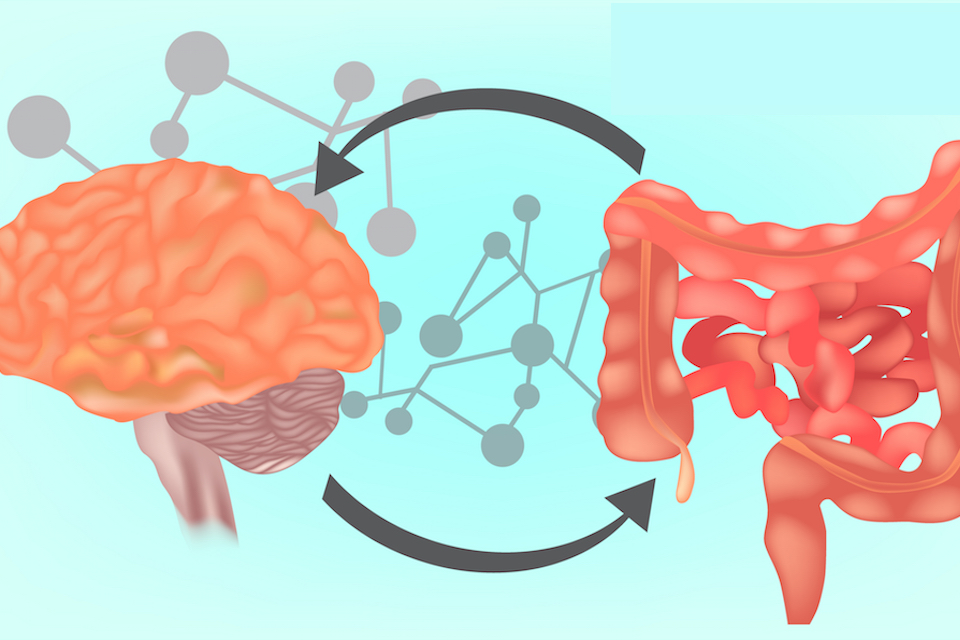 Probiotic Bifidobacterium Infantis M-63 Alleviates Mental Stress of Flood Victims