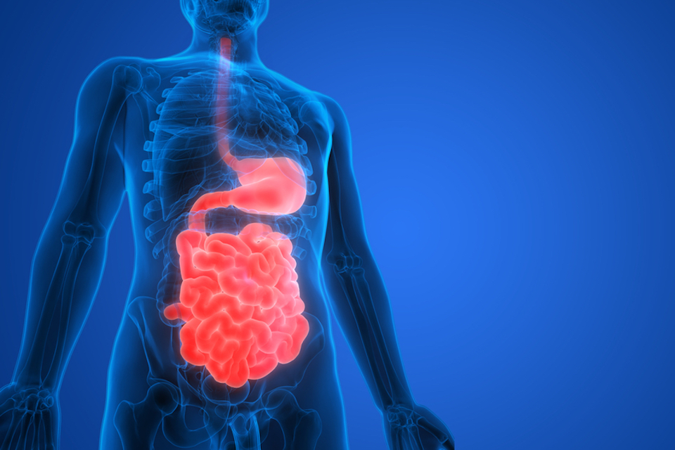 KNOW Bio Announces Creation of Digestive Health Therapeutics, Inc.