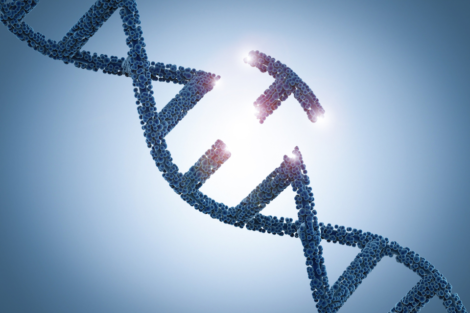 C3J Therapeutics Announces Issuance of U.S. Patent Covering Synthetic Bacteriophage