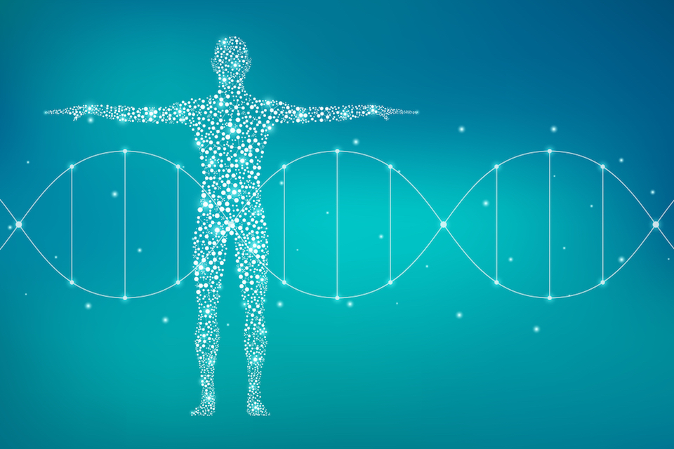 The Human Microbiome: A Diversity of Players Ranging from Academics to Dedicated Platforms