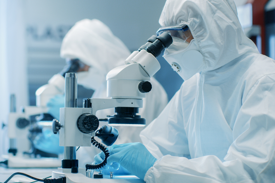 Biomica Initiates Pre-clinical Studies in Its Immuno-oncology Program