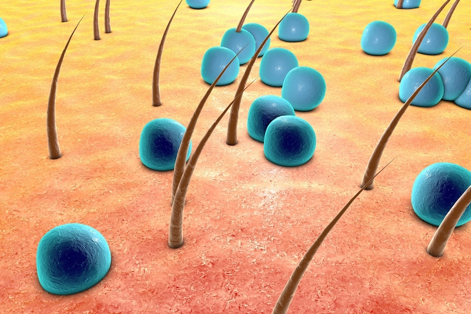 Crown Laboratories Acquires Xycrobe™ Therapeutics, Inc.