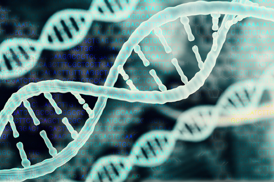 BioCompute and WHISE-Embleema Launch Framework for FDA Drug Submissions