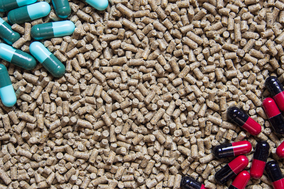 Call to Action for Veterinary Industry to Support Microbiome-based Veterinary Products