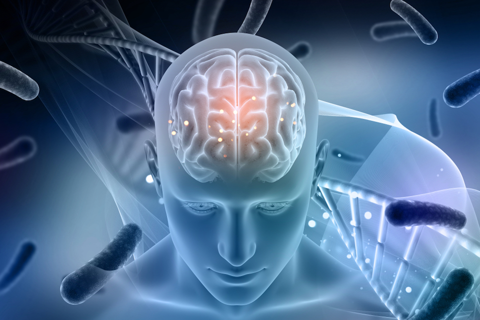 Gut Microbes Eat Parkinson’s Medication