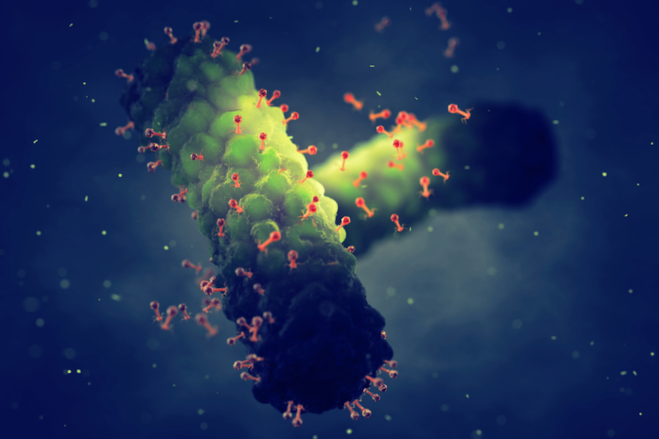Intralytix, Eliava Foundation and Ferring Sign Joint Collaboration Agreement