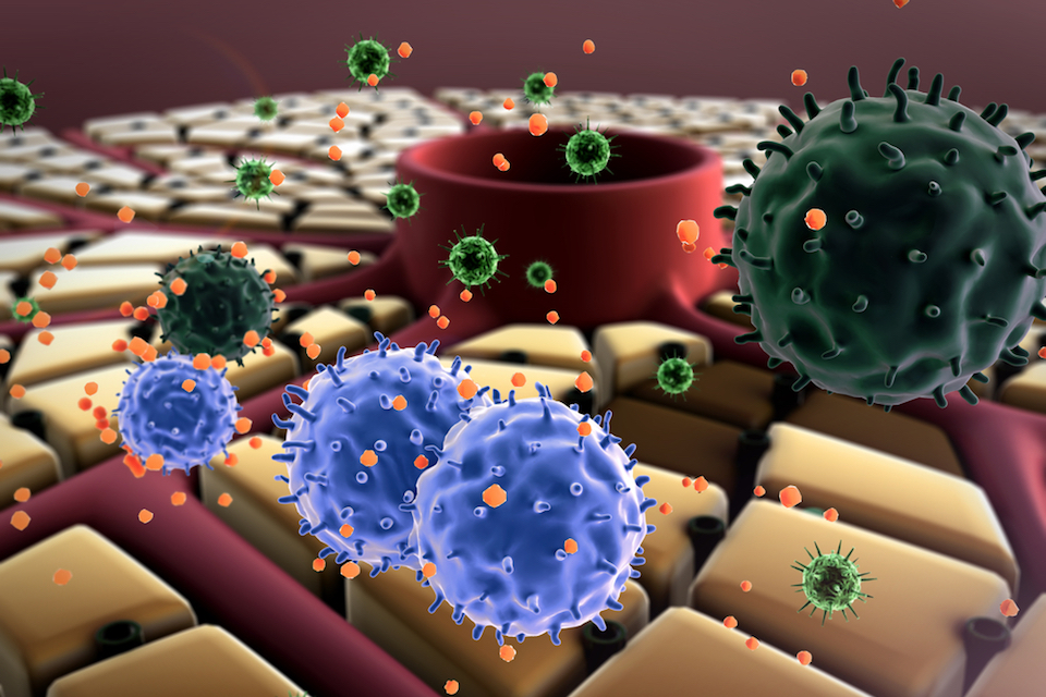 BiomX Licenses Novel Targets for Liver Disease Phage Therapy Program From JSR Corporation