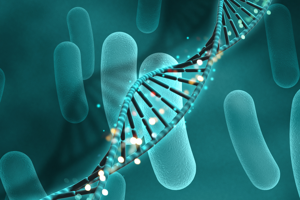 Synlogic and Ginkgo Bioworks Establish Transformational Platform