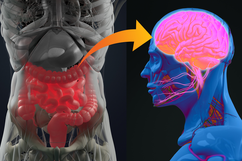 Axial Biotherapeutics Publishes Preclinical Data Highlighting Link Between Gut Microbiota & Behavioral Symptoms of ASD in Mouse Models