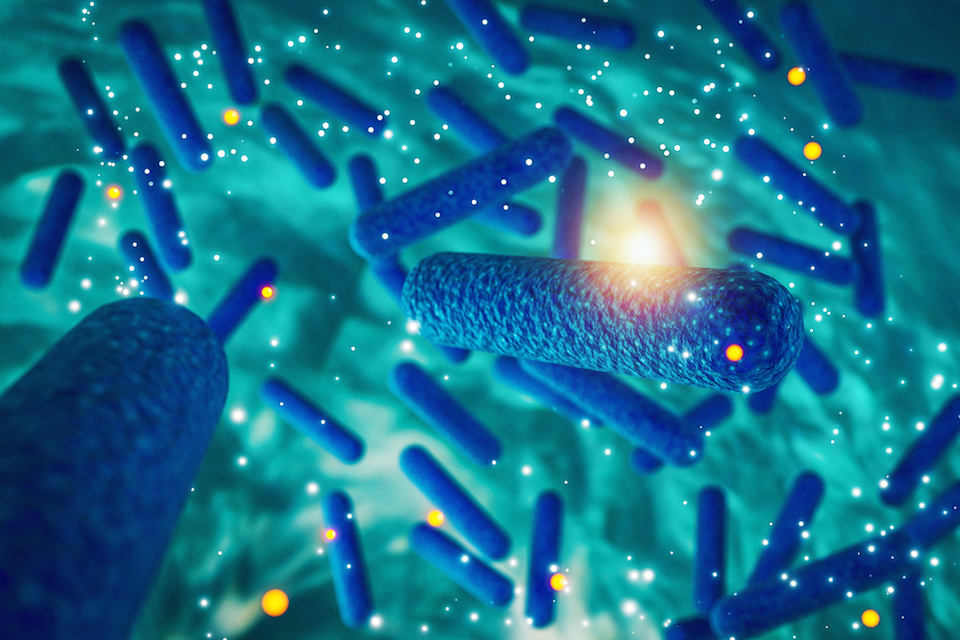 Gut check: Yale researchers describe role of bacteria in drug response