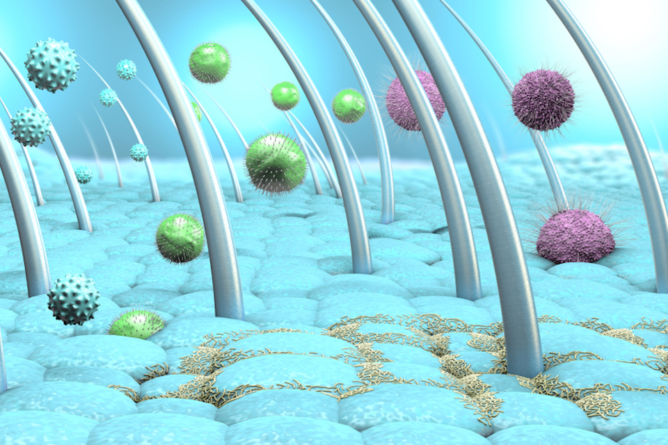 New Study Finds Key Factors That Shape the Skin Microbiome, Including Age and Lifestyle Choices