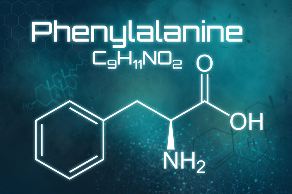 Synlogic Reports Positive Top-line Data from Phase 1/2a Study of SYNB1618 in Patients with PKU