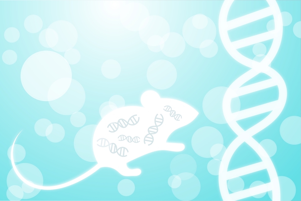 Mouse genetics influences the microbiome more than environment