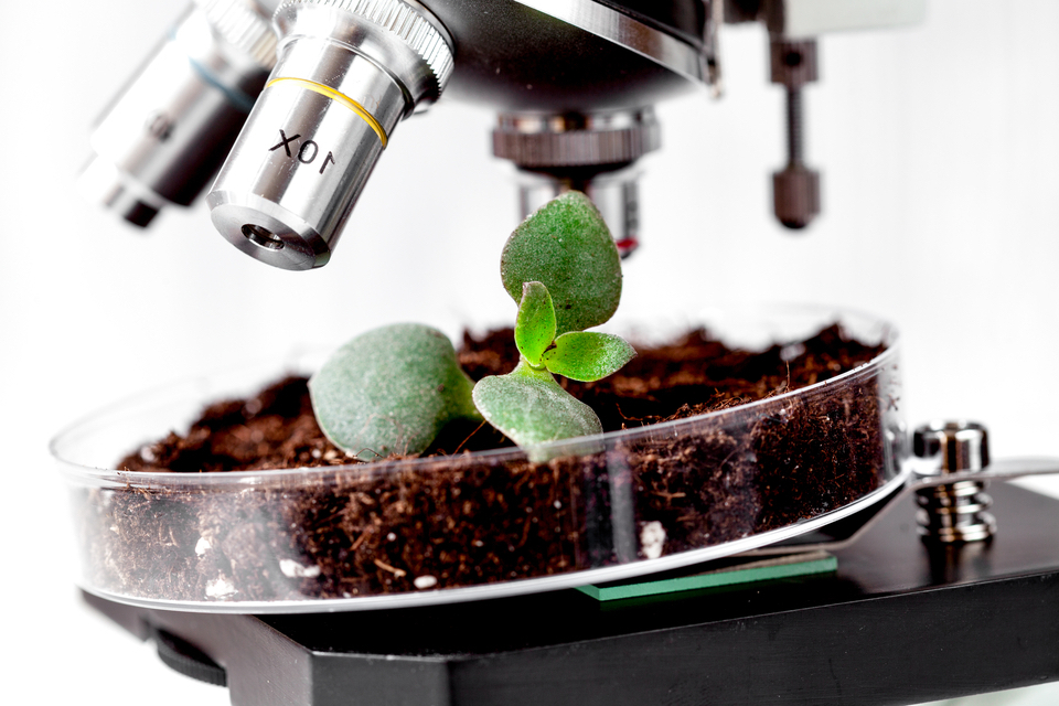 GP Solutions Creates New “Living Soils” for Consumers, Gardeners and Farmers