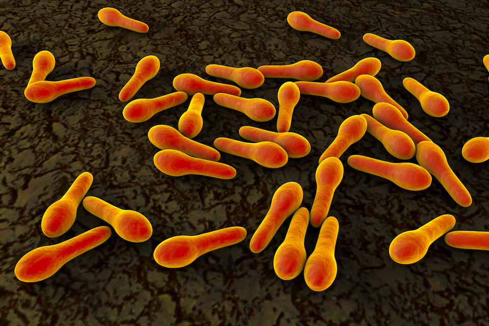 Finch Therapeutics Raises $53 Million to Advance Microbiome-Based Therapies