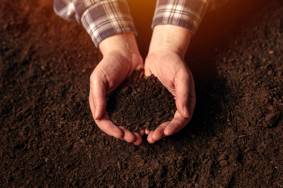 UCI scientists awarded $2.7 million for soil nutrient microbiome research