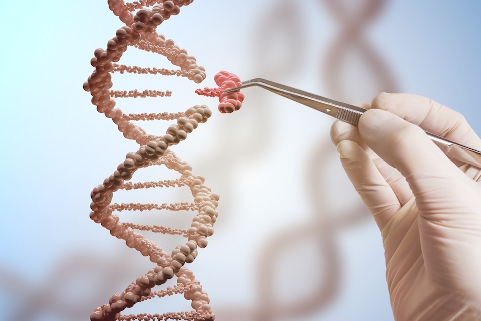 Researchers unlock potential to use CRISPR to alter the microbiome